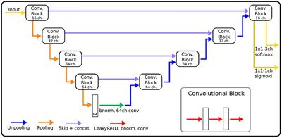 Convolutional Neural Networks Enable Robust Automatic Segmentation of the Rat Hippocampus in MRI After Traumatic Brain Injury